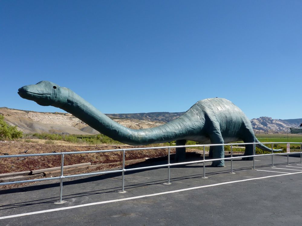 Dinosaur national park (11).JPG
